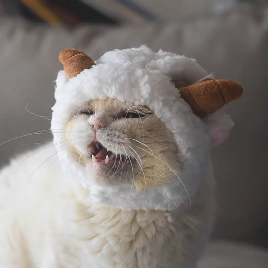 Cat Hat - Sheep