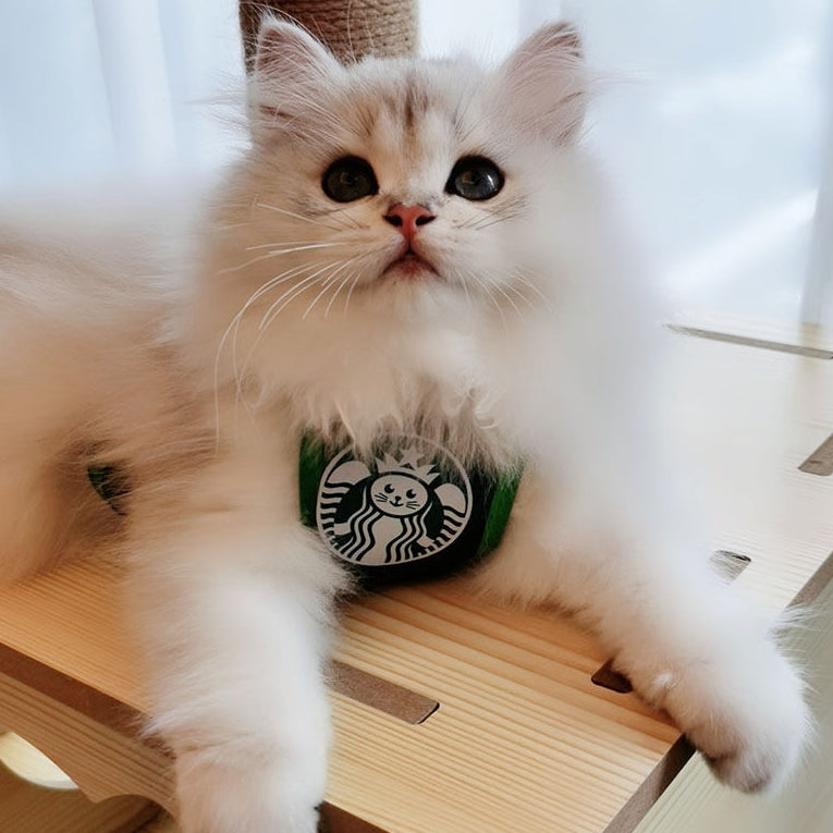 Pet Scarf Meowbucks ☕