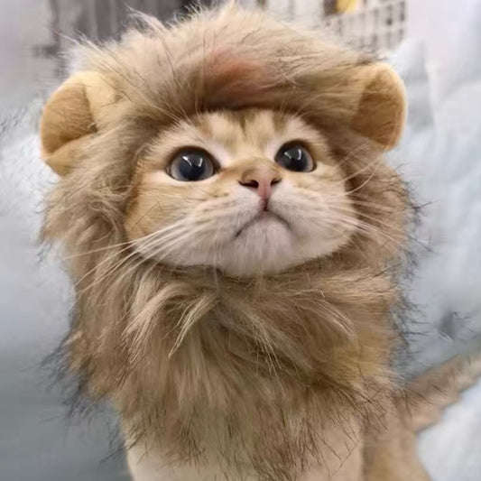 Cozy Hat For Cats and Dogs - Lion🦁