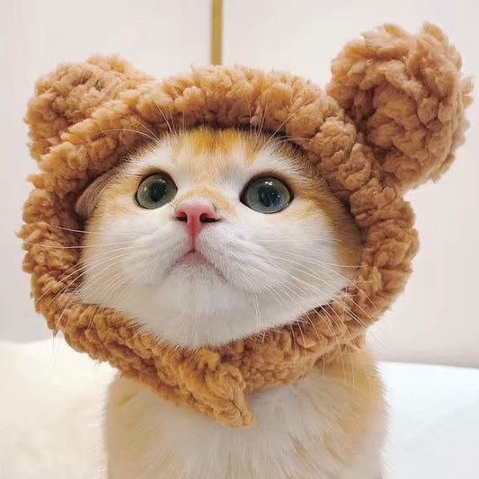 Cozy Hat For Cats and Dogs - Bear🧸