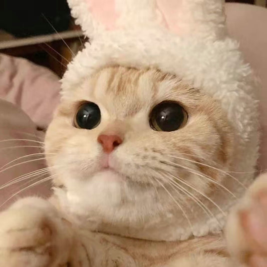 Cozy Hat For Cats and Dogs - Bunny Ears🐇