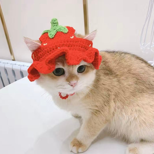 Cozy Knit Hat For Cat - Strawberry🍓