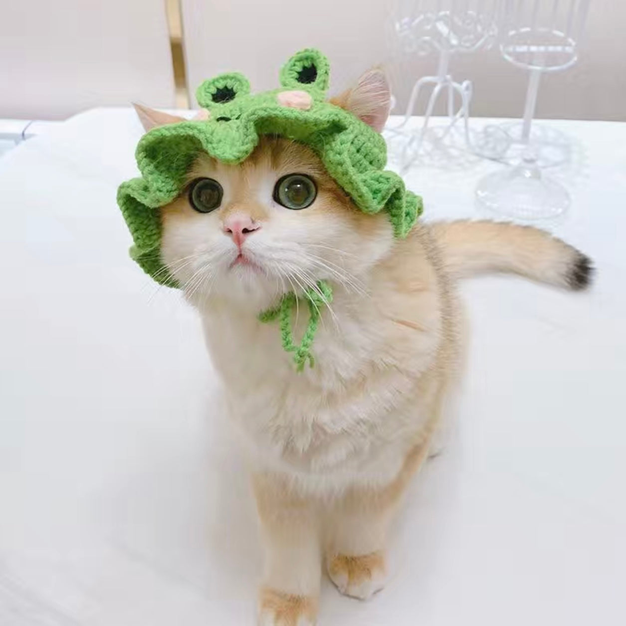 Cozy Knit Hat For Cat - Frog🐸