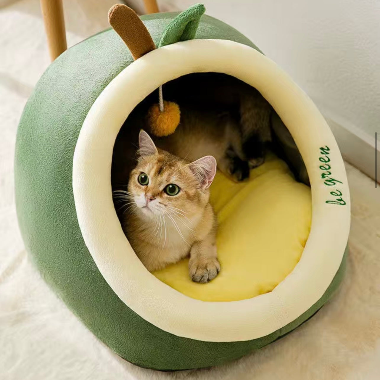 Cat and Dog Bed - Avocado🥑