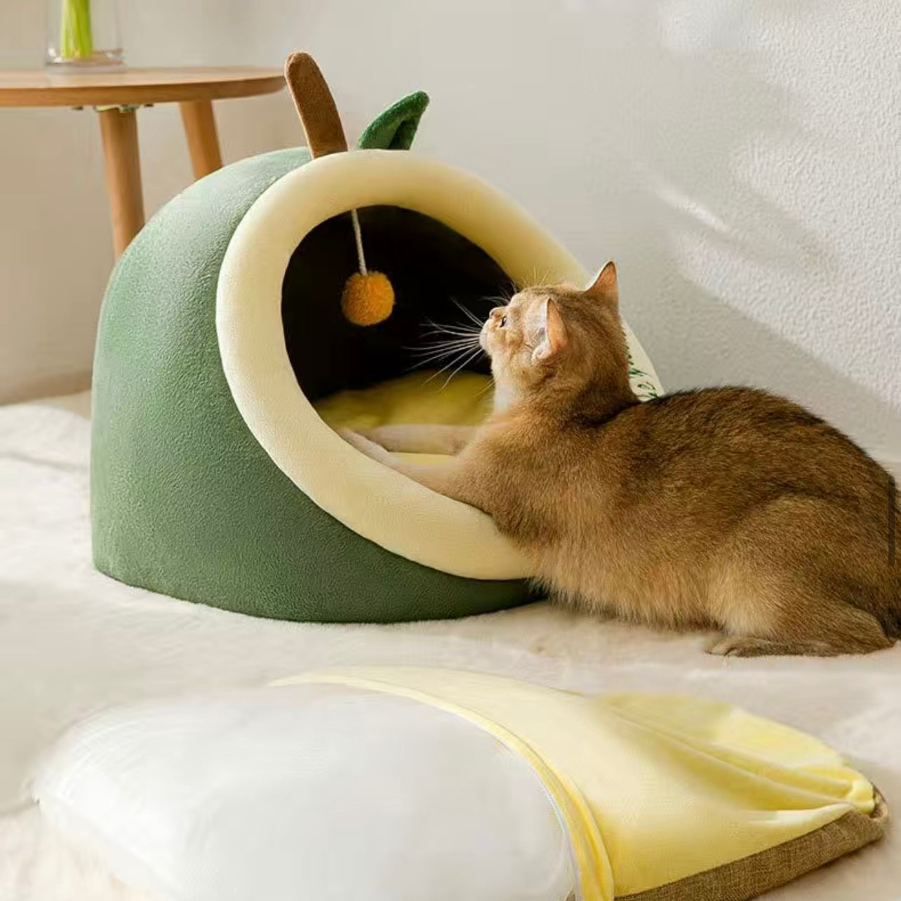 Cat and Dog Bed - Avocado🥑